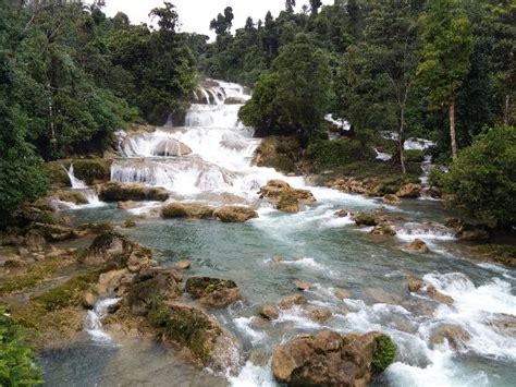 hoteles en mindanao|LOS 10 MEJORES Hoteles en Mindanao 2024 (desde 12 €).